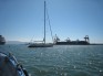 San Diego Yacht Captain